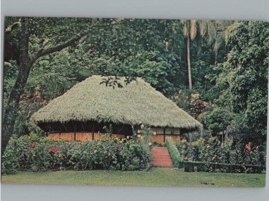 A Tahitian Hut Hawaii Tahitienne Postcard