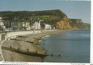 Devon Postcard - Sidmouth Beach and Esplanade - Ref AB2818