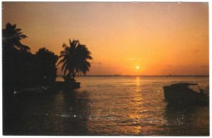 Florida Sunset, Vintage Chrome Postcard #1