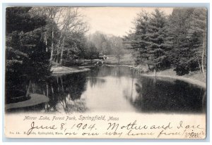 1904 Scenic View Mirror Lake Forest Park Springfield Massachusetts MA Postcard 