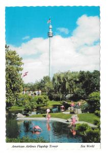 CA Sea World American Airlines Flagship Tower Pink Flamingos 4X6 Postcard