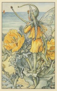 The Horned Poppy Flower Fairy Vintage Book Illustration Postcard