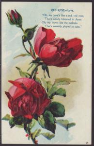 Red Roses Embossed Postcard