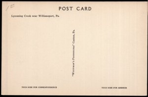 Pennsylvania WILLIAMSPORT Lycomng Creek - Divided Back