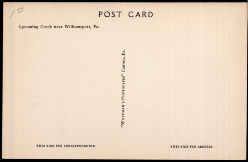 Pennsylvania WILLIAMSPORT Lycomng Creek - Divided Back
