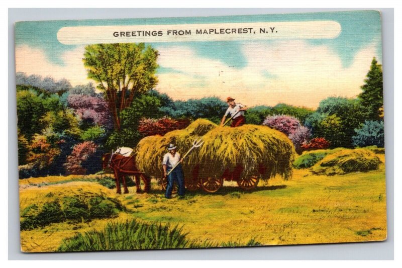 Vintage 1940s Postcard Greetings from Maplecrest New York