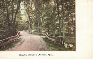 Vintage Postcard Bigelow Bridges Forest View Tree Shades Hudson Massachusetts MA