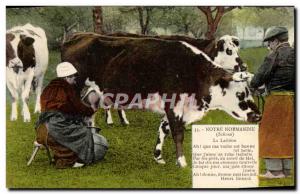 Old Postcard Our Normandy Laitiere Folklore Peasants