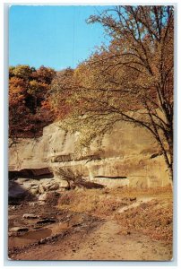 c1950's View Of Ledges State Park Boone Iowa IA Unposted Vintage Postcard
