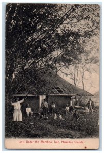 c1910's Family Under The Bamboo Tree Hawaiian Islands HI Antique Postcard 