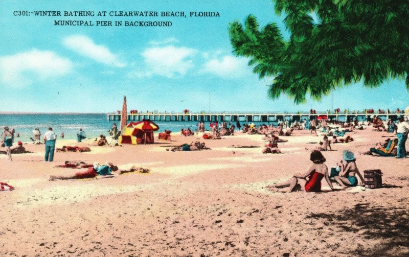 Vintage Postcard Winter Bathing Municipal Pier Background Clearwater Beach FL