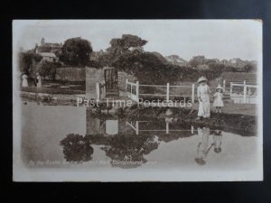 Dorset CHRISTCHURCH By The RUSTIC BRIDGE Convent Walk - Old Postcard