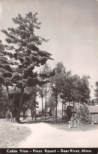 Cabin View - Deer River, Minnesota MN Postcard