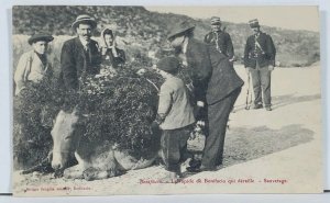 BONIFACIO le rapide de bonifacio qui deraille (sauvetage) Corse 1906 Postcard L6