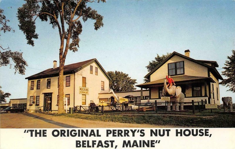 PERRY'S TROPICAL NUT HOUSE Belfast, Maine Roadside 1968 Vintage Postcard