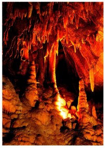 Mammoth Cave National Park Stalactites