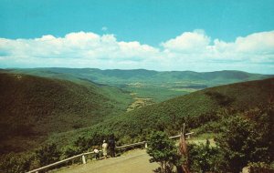 Vintage Postcard South Williamston Taconic Notch Road Mt. Greylock Massachusetts