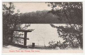 House's Pond Alloway New Jersey 1910c postcard