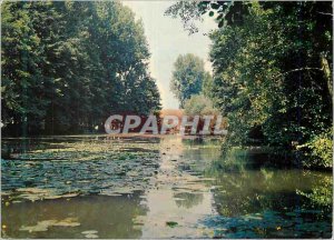 Postcard Modern Charny Yonne The banks of Ouanne