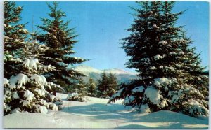 Postcard - Winter is a Time of Enchantment in the Heart of the Mountains