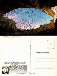 Carlsbad Caverns National Park, New Mexico (4903