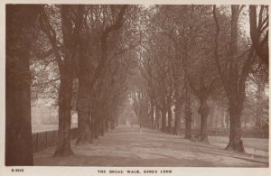 The Broad Walk Kings Lynn Tree Lined Real Photo Vintage Postcard
