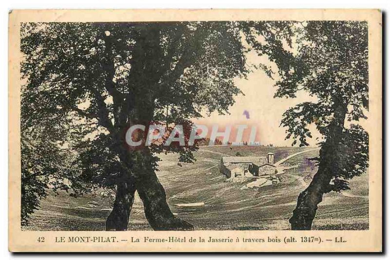 Old Postcard Mont Pilat Farm Hotel Jasserie through wood