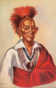 CHIEF BLACK HAWK Native American Indian Rock Island, IL Sauk Vintage Postcard