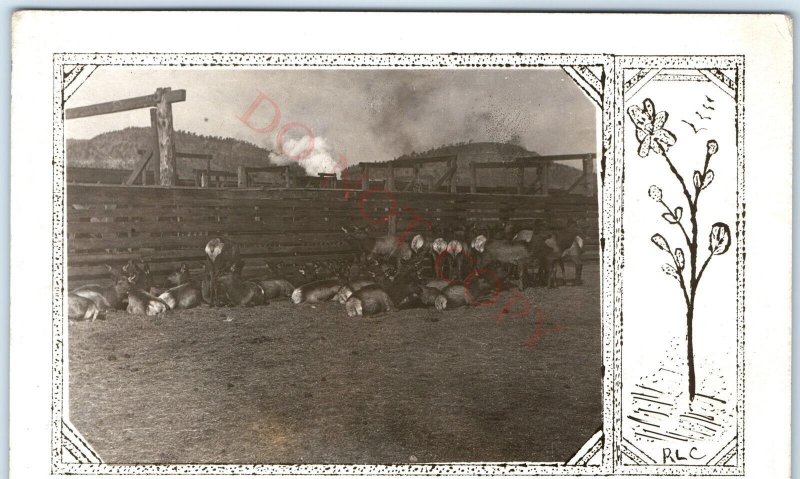 c1910s Rustic Ranch w/ Majestic Red Deer RPPC Farm RLC Border Real Photo PC A143