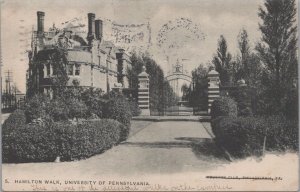 Postcard Hamilton Walk University of Pennsylvania Philadelphia PA