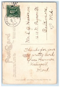 1908 Fourth Avenue Residential District Kalispell Montana MT Antique Postcard