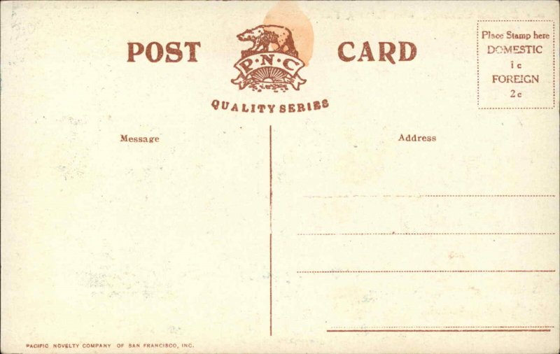 CALIFORNIA Wine Industry Picking Grapes c1910 Postcard 