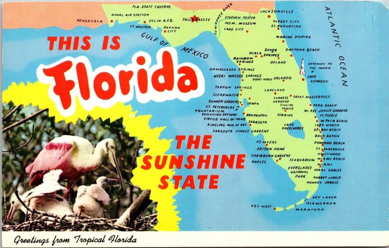 Greetings Florida Sunshine State Map Cities State Birds Wildlife Chrome Postcard