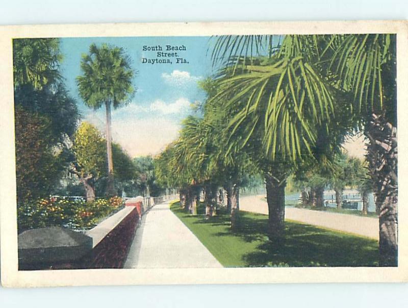 W-Border BOTANICAL SCENE Daytona Florida FL HJ7096