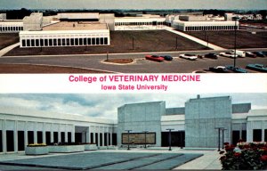 Iowa Ames College Of Veterinary Medicine Iowa State University