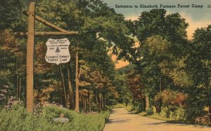 Vintage Postcard Entrance To Elizabeth Furnace Camp Washington National Forest