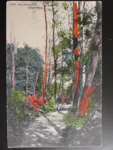 Derbyshire: Miller's Dale showing Woodland Path c1907 (Hand Coloured)