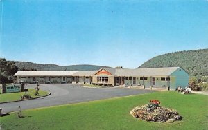Buena Vista Motel Delhi, New York Postcard