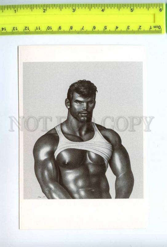 219213 Tom of FINLAND gay theme drawing old postcard