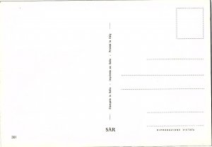 Italian Printed Easter with Chick & Eggs/Flowers Vintage 1960s Postcard