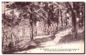 Old Postcard Paimpol An undergrowth of the peninsula of Gullben located along...