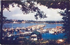 Postcard 1948 Washington Seattle Yacht Harbor Roberts WA24-693