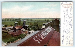 FRESNO COUNTY, CA California ~ Historic ST. GEORGE VINEYARDS. c1907 Postcard