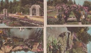 Victoria BC Gardens 4x Canadian Vintage Postcard s