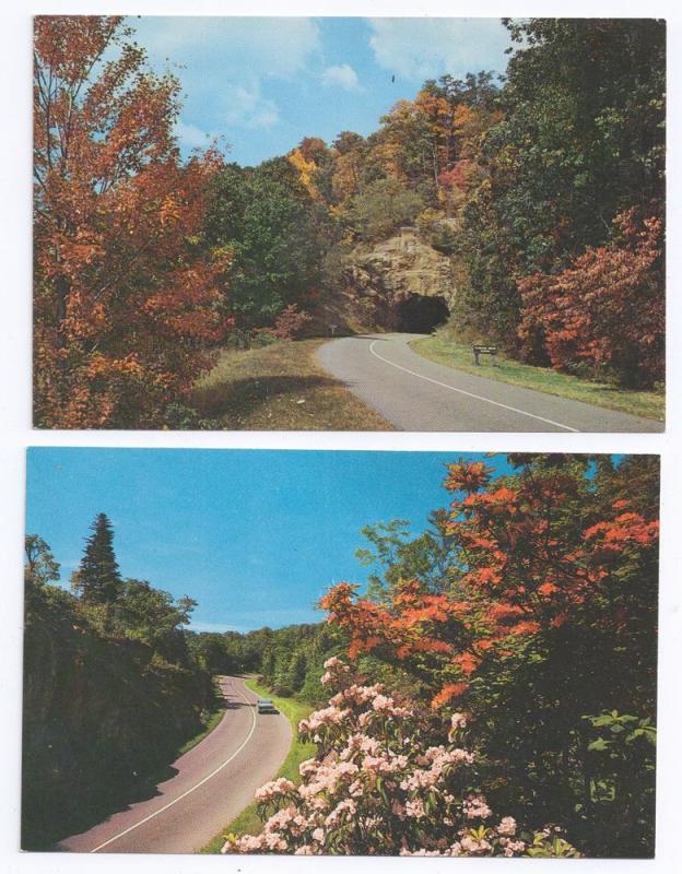 NC Blue Ridge Parkway Views Tanbark Tunnel (2 cards)