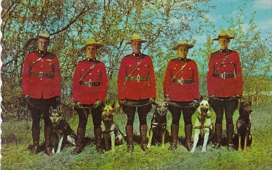 Royal Canadian Mounted Police and Their TRained Police Dogs