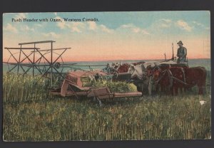 Western Canada Push Header with Oxen by Bloom Bros ~ DB