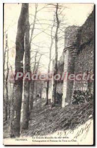 Old Postcard Provins Great Wall watchtowers and postern hole cat