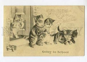 264539 Dressed CAT Family Going to School KITTEN Vintage PC