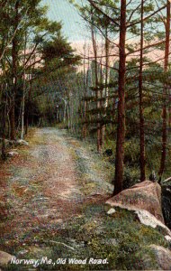 Maine Norway The Old Wood Road 1913